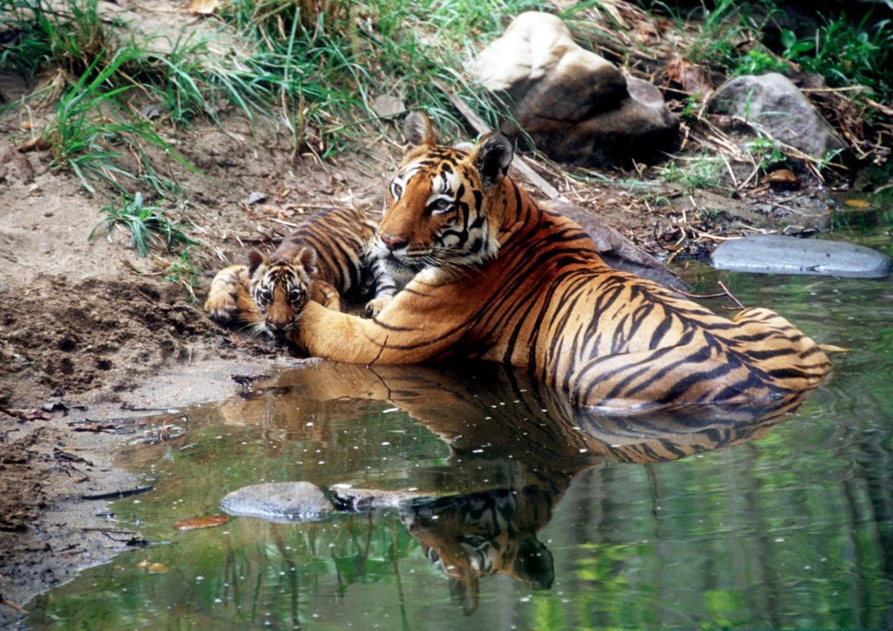 Kanha Village Eco Resort Bagian luar foto